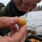 Замість хробака – дрібна нарізка: чому на Дніпрі довелося терміново змінювати подачу наживки