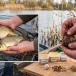 На Десні пожвавлення: сом почав активно брати після підйому води