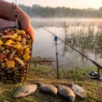 Підлящик у гирлі Десни різко змінив поведінку: рибалки втрачають клювання