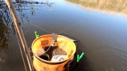 Выбрался на карася с резинкой, а всё дно затянуло водорослями. Как спасти наживку в траве?