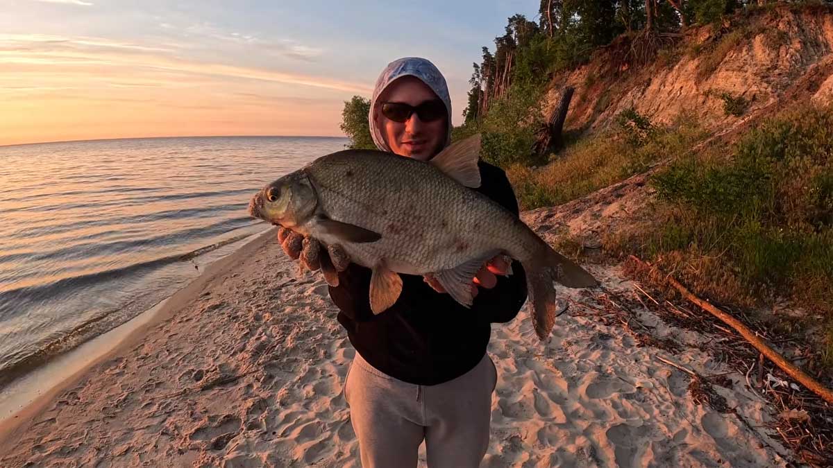 На Київському морі пішов великий лящ: фідеристи показали трофейний улов