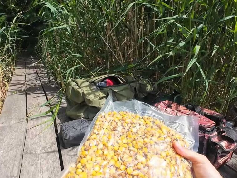 Замість магазинних сумішей готуємо мікс на коропа й амура: ароматна прикормка з чотирьох компонентів