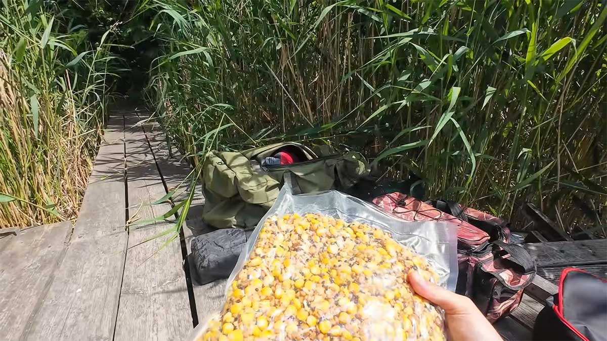 Замість магазинних сумішей готуємо мікс на коропа й амура: ароматна прикормка з чотирьох компонентів