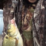 Почему инспекторы летом чаще проверяют улов: FishingUKR разобрался, что вправе контролировать рыбоохрана