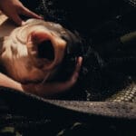 Як правильно ловити коропа влітку: головні помилки у короповій ловлі