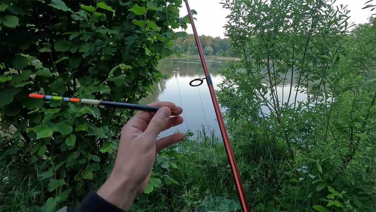 Далекобійна поплавкова оснастка на коропа: секрет ловлі трофея на дикій водоймі