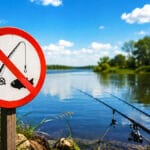 Как ловить крупного карася в зарослях кувшинок: секреты снасти с боковым кивком