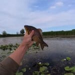 Рыбалка во время запрета: эксперт объяснил, где нельзя ловить в августе даже с разрешенной снастью