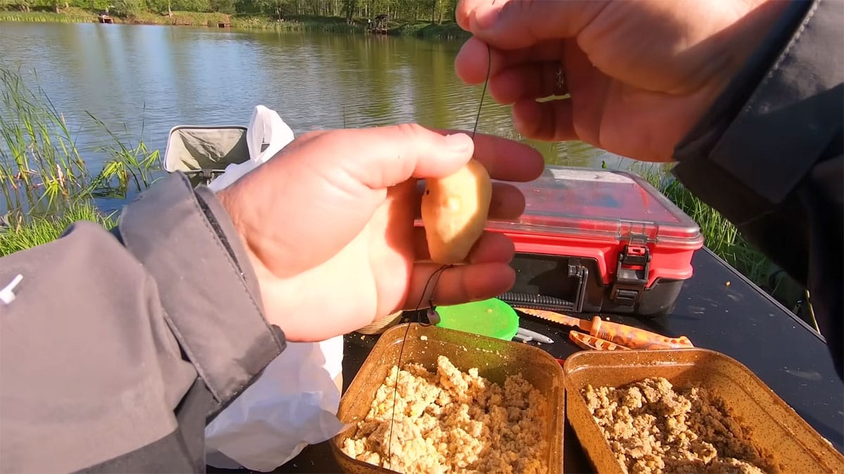 Ловля трофейного линя на кормаки: секреты монтажа и супернасадки для водоемов