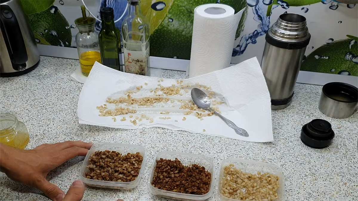 Перловка в термосе с корицей и сухим молоком: рецепт для ловли крупной плотвы