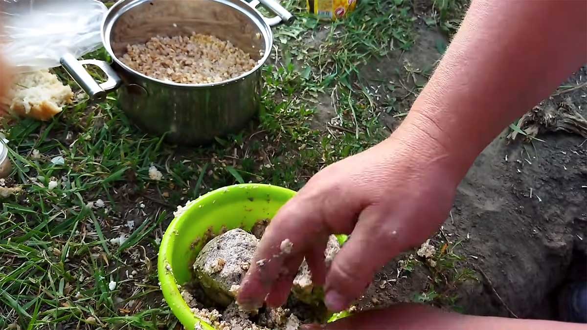 Творожный секрет ловли линя летом: эффективная прикормка для зарослей камыша