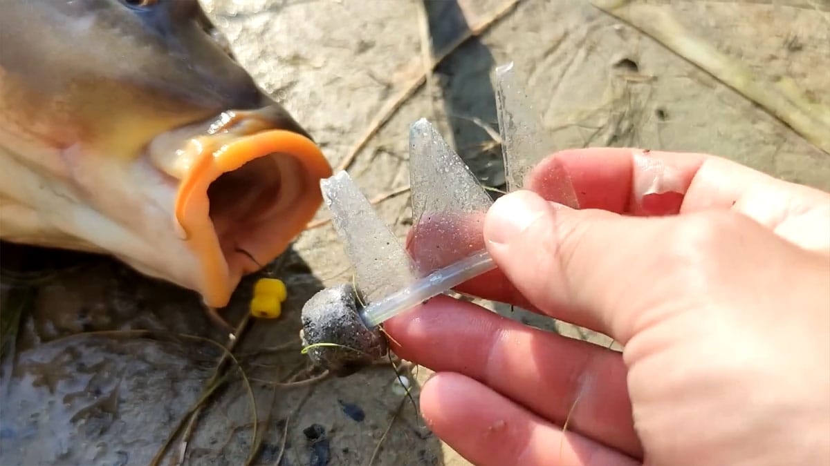 Забытая дедовская снасть из пластиковой бутылки на карася и карпа