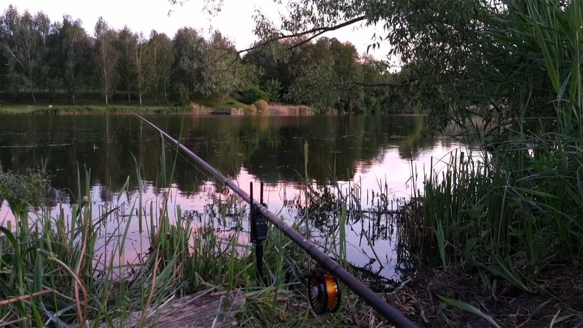 Безвузловий короповий монтаж під пророщену пшеницю: хитре оснащення