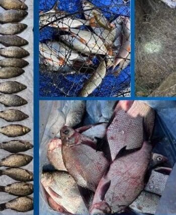 Браконьєри на Дніпропетровщині завдали збитків на понад 300 тис. грн