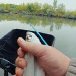 Заборона закінчується 30 вересня: коли з 1 жовтня можна ловити раків і де це все одно заборонено