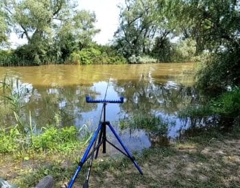 Дожди отступят, но вода поднимется: когда лучше ехать на рыбалку