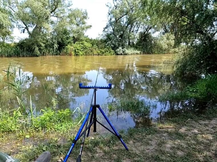 Дожди отступят, но вода поднимется: когда лучше ехать на рыбалку