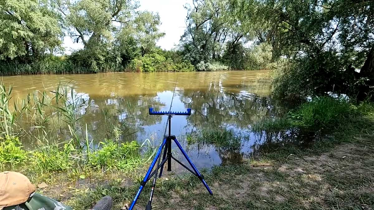 Дожди отступят, но вода поднимется: когда лучше ехать на рыбалку