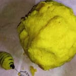 Ловля великого карася у вікнах латаття восени: тактика, оснастка та прикормка