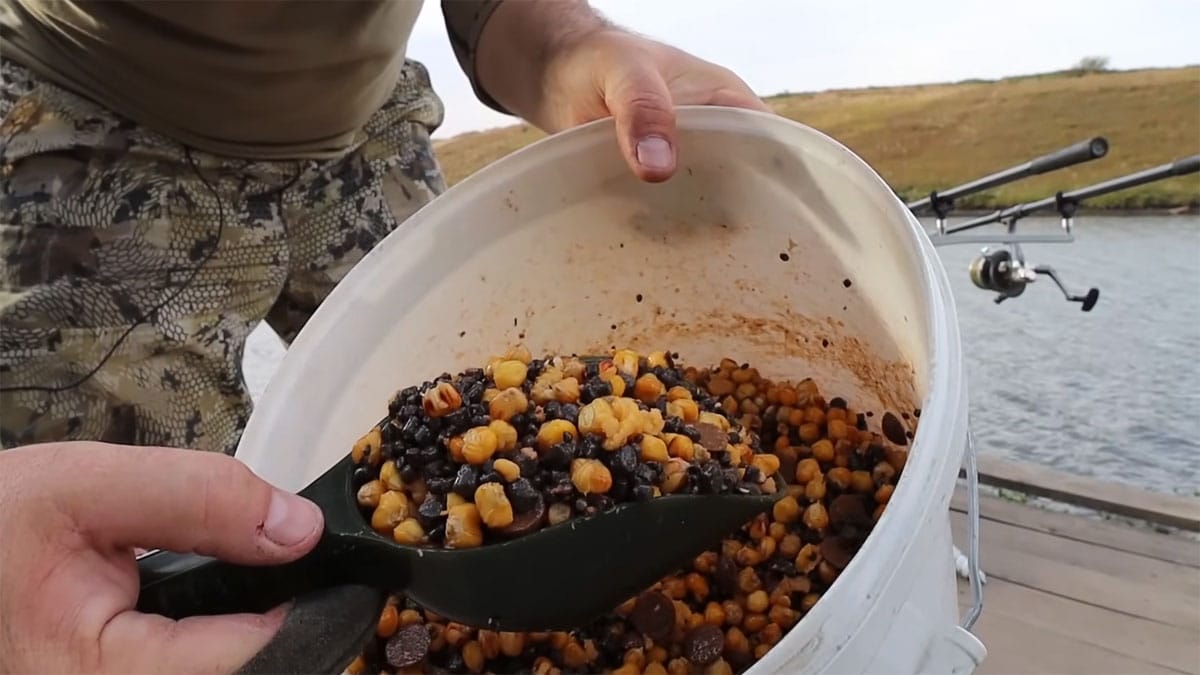 Как поймать крупного карпа и амура осенью: рабочая комбинация пылика и поп-апа
