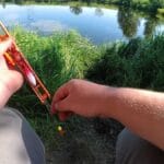 Крючки ржавеют прямо в коробке: как убрать влагу после рыбалки без дорогих средств