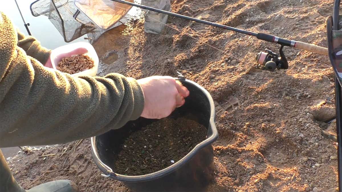 Критичні помилки фідеристів на річці у вересні: як завжди залишатися з уловом