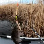 Оснащення поплавкової вудки з мормишкою для ловлі карася восени