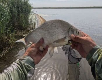 Після дощів вода піднялася: де тепер шукати рибу на річці