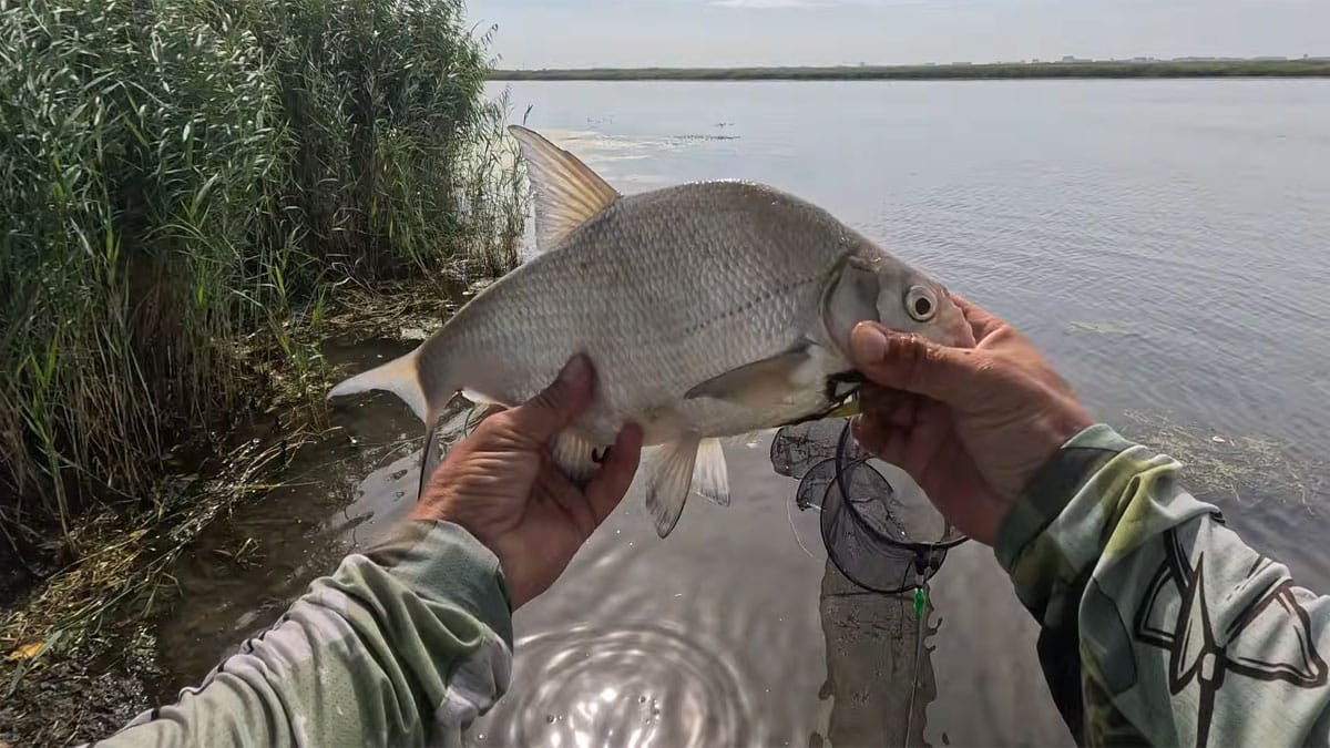 Після дощів вода піднялася: де тепер шукати рибу на річці