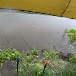 Поплавочная оснастка с мормышкой на карася: как ловить в холодной воде осенью