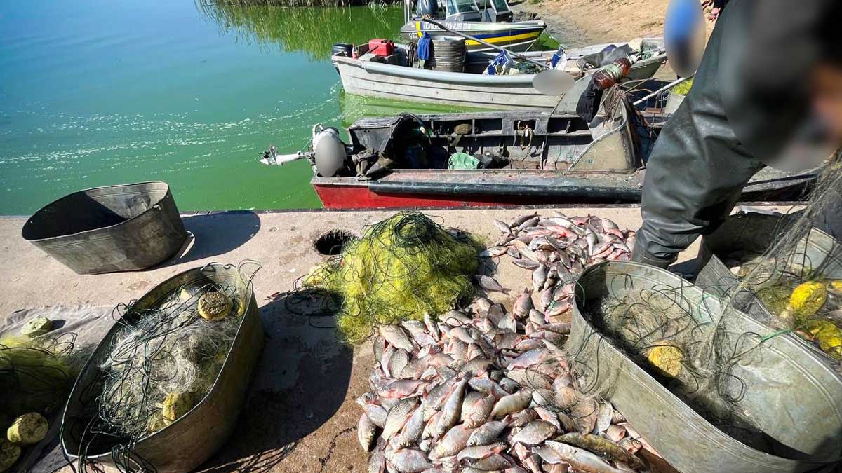 Рыбалка на миллионы: когда за незаконный вылов могут открыть уголовное дело