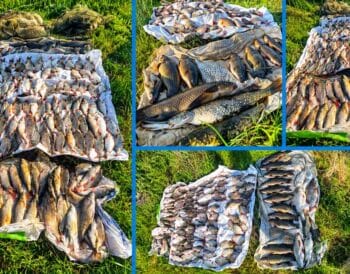 sitki-na-oril-zavdali-zbitkiv-na-222-tisyachi-griven-riboohoronnij-patrul-zatrimav-porushnika