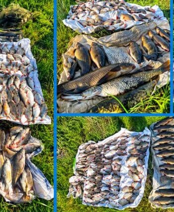 sitki-na-oril-zavdali-zbitkiv-na-222-tisyachi-griven-riboohoronnij-patrul-zatrimav-porushnika
