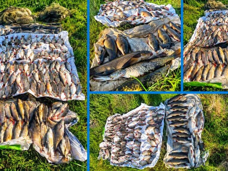 sitki-na-oril-zavdali-zbitkiv-na-222-tisyachi-griven-riboohoronnij-patrul-zatrimav-porushnika