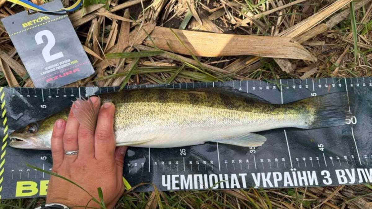 В Виннице завершился Чемпионат Украины по Street Fishing