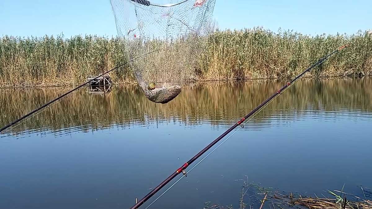 Уловиста осіння насадка на карася та ляща: рецепт із гвоздикою
