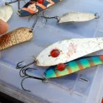 Який колір приманки вибрати у прозорій воді восени