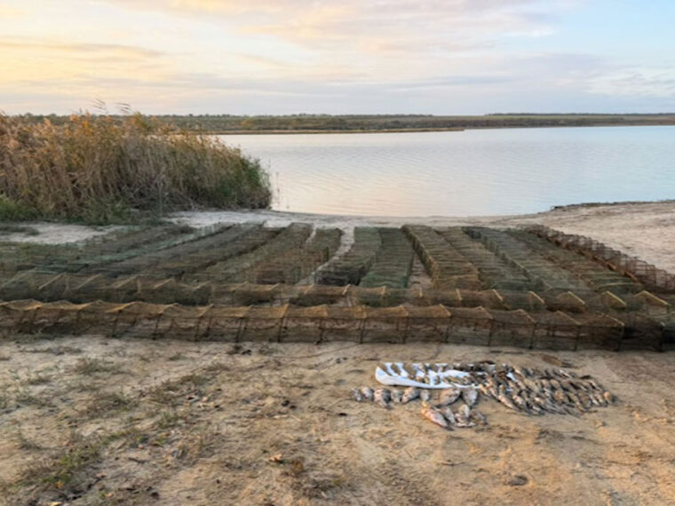 16 раколовок оставили в водохранилище: рыбоохрана спасла 92 водных обитателя