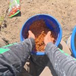 6 незвичних добавок у підгодовування для активізації клювання: рецепти та пропорції