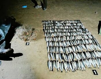 На озері Шагани незаконно виловили 326 кефалей: збитки майже 6 млн грн