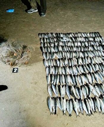 На озері Шагани незаконно виловили 326 кефалей: збитки майже 6 млн грн