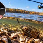 Осінній хижак розумнішає за один день: чому кислотні приманки перестають працювати на водоймах